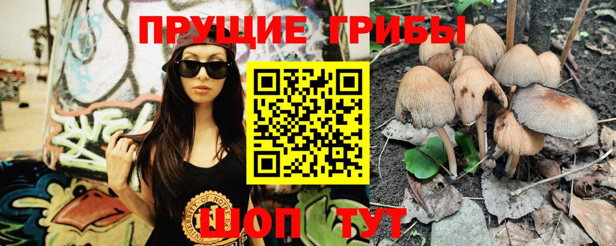 Псилоцибиновые грибы MAGIC MUSHROOMS  где можно купить наркотик  Гусев  Вход с VPN  Галлюциногенные грибы ЛСД 