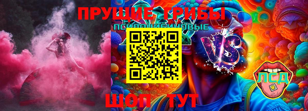 Псилоцибиновые грибы прущие грибы Гусев